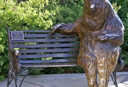 park city bear