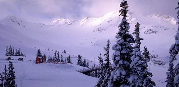 Courtesy Whistler Blackcomb Resort