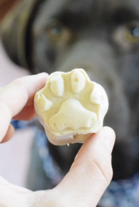 Dog treat shaped like a paw